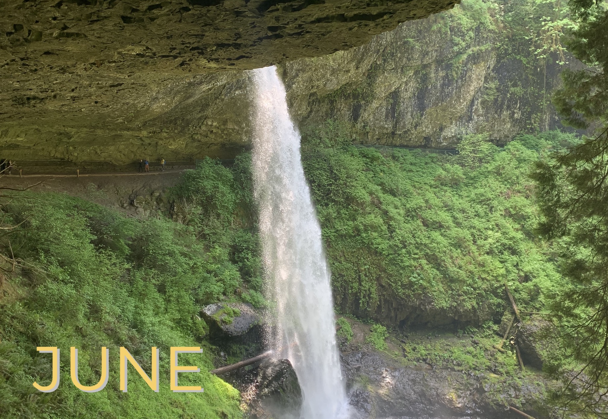 A waterfall with a green lush landscape.